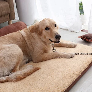 Hot sale PP cotton wholesale washable luxury large cat dog pet beds mat cushion