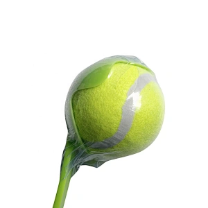 Dog Toy Ball Thrower Training Ball Launcher 36cm 50cm 65cm For Ball Size 6.3 to 6.5cm