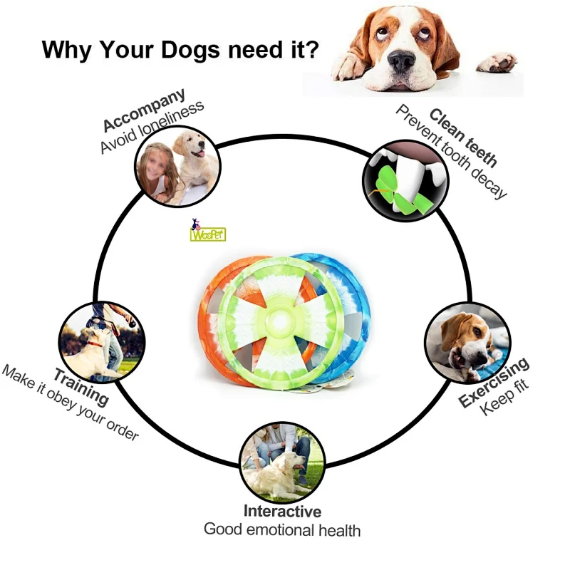 Color Mixture TPR  Training Soft Frisbeed Flying Disc Fetch Silicone Fun Dog Interactive Dog Toys 2021  For Large Dog