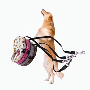 flashing dog leash pet leash