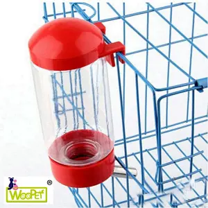 drinking water pot