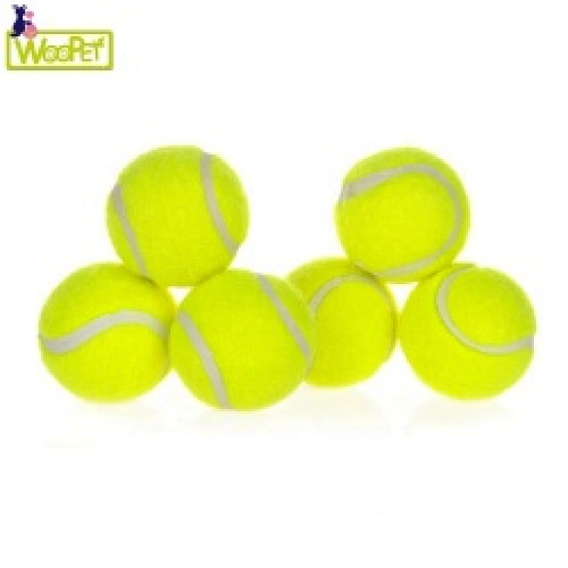 Pet interactive toys play training toy pet tennis ball dog rubber toy