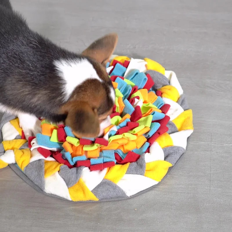 Hot sale portable pet licking bed feeding dog play training mat