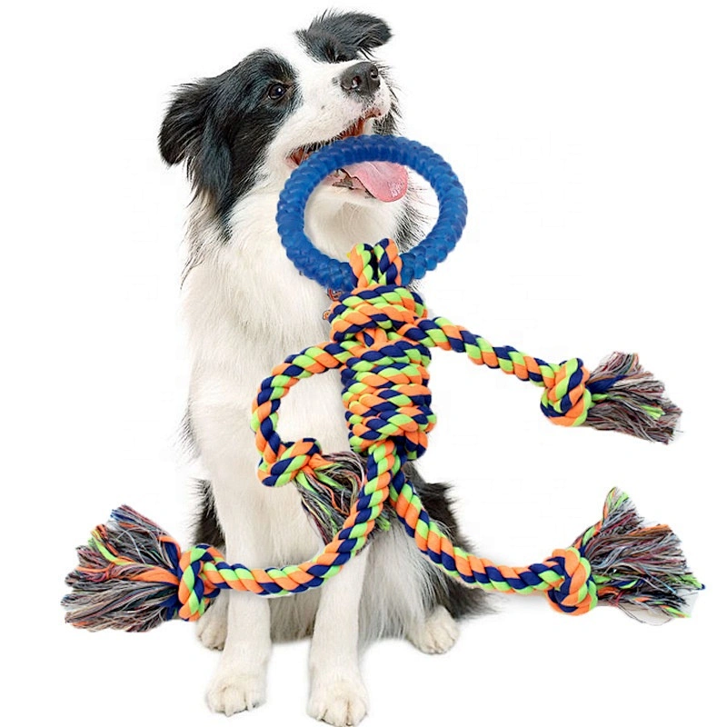 Wholesale Dog Interactive Cotton Rope With TPR Chew Toy Factory Direct