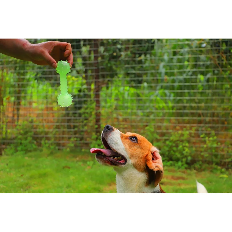 Glow In The Dark Food Leakage Interactive Chew Toys Barbell Shaped  From Dog Toys Manufacturers