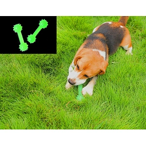 Glow In The Dark Interactive Chew Toys Barbell Shaped  From Dog Toys Manufacturers