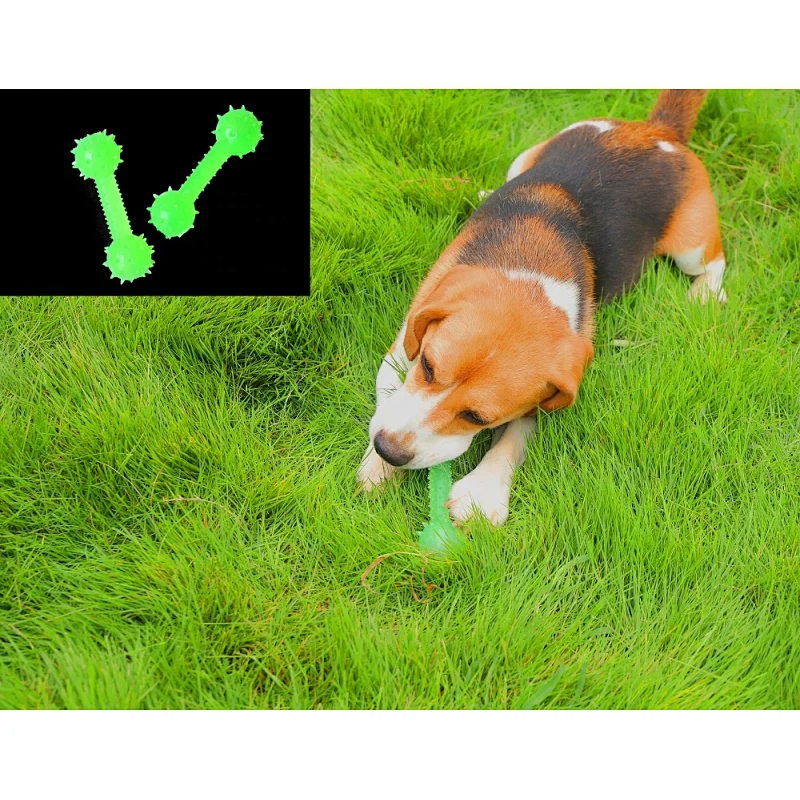 Glow In The Dark Interactive Chew Toys Barbell Shaped From Dog Toys Manufacturers