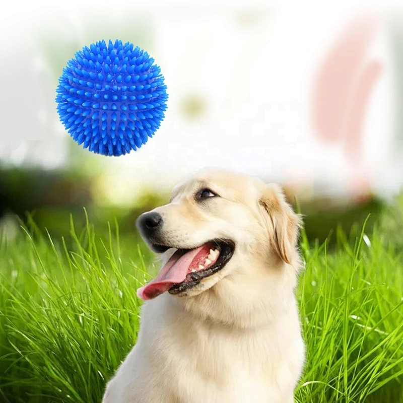 New Arrivals Tough Unique Toothbrush Pet Dog Dental Fidget Ball Durable Bouncy Tpr Dog Toys Pet Chew Toys