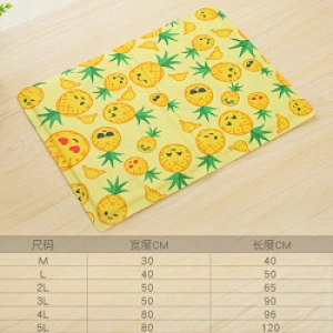 Hot sale portable silicone pet cooling play travel gel mat dog carrier