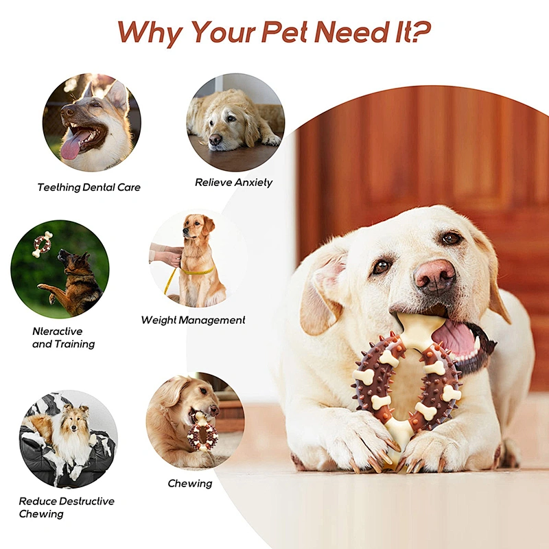 Amazon hot sale nylon tough dental dog pet chew toys for aggressive chewers new design 2022