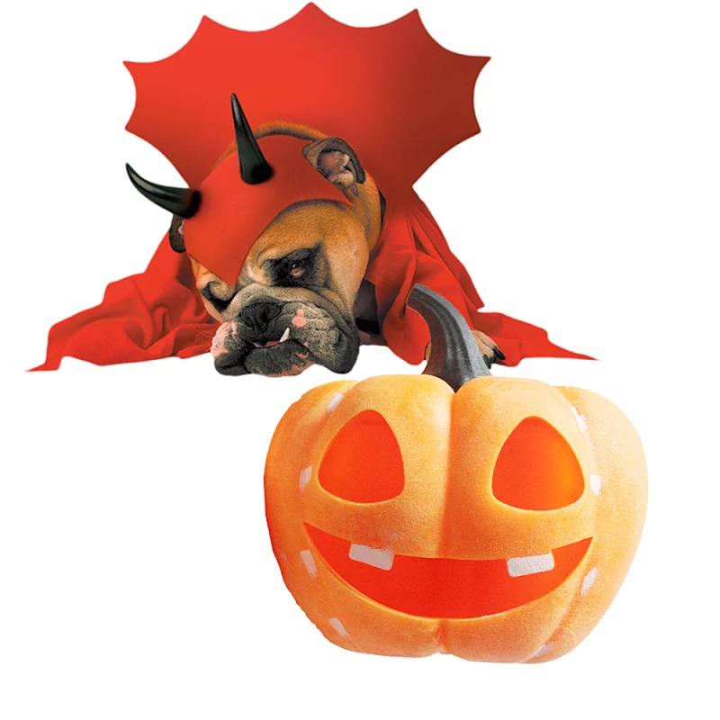 Hand Painting Pet Toy TPR Foam Pumpkin Shape Chicken Flavor Food  Leakage Chew Toy