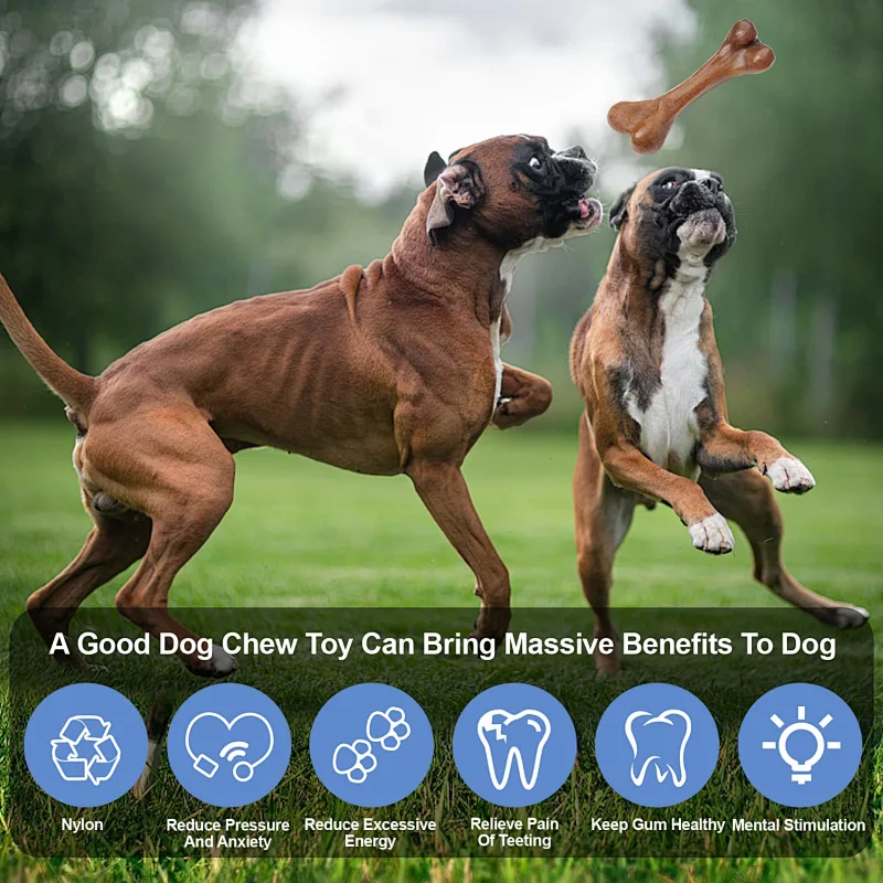 Amazon hot sale coco nuts fiber tough dental aggressive durable chew toy for dogs new design 2022