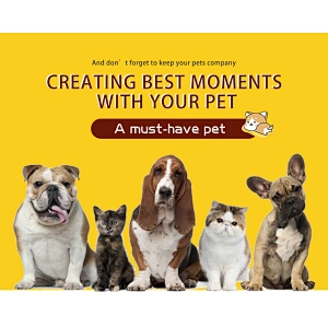 Custom Dog Game Flying Discs Ring Resistant Chew Toy Disk For Outdoor Sports