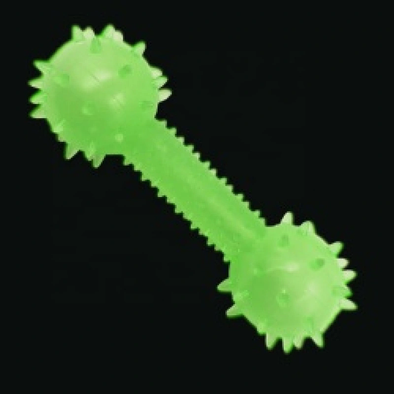Glow In The Dark Interactive Chew Toys Barbell Shaped  From Dog Toys Manufacturers