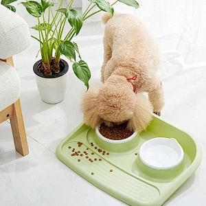 Dog Bowls Water and Food Feeder With Non Spill Skid Resistant Mat for Pets Raised Cat Bowl