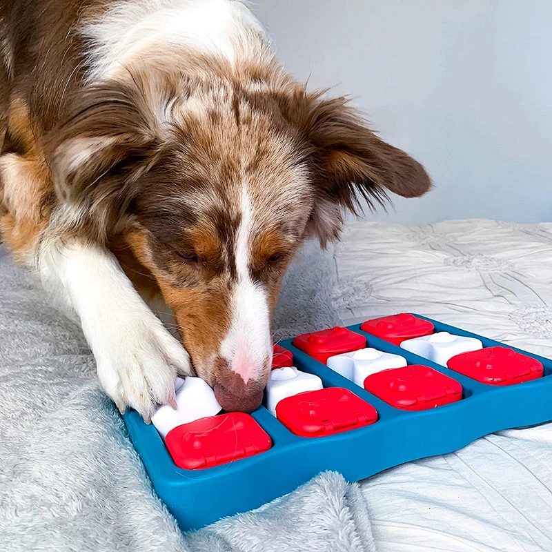 New Design Pet Toys IQ training Round Shape Food Puzzle Plate Toy For Slow Dog Cat