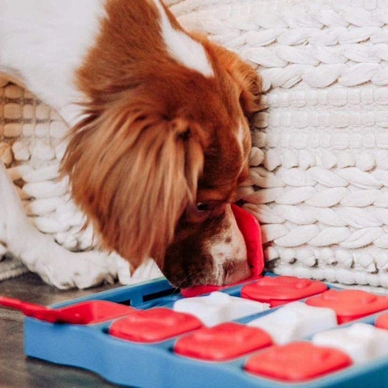 New Design Pet Toys IQ training Round Shape Food Puzzle Plate Toy For Slow Dog Cat
