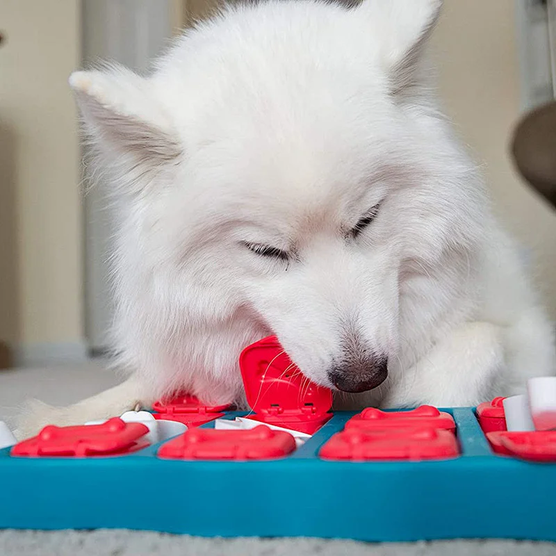 New Design Pet Toys IQ training Round Shape Food Puzzle Plate Toy For Slow Dog Cat