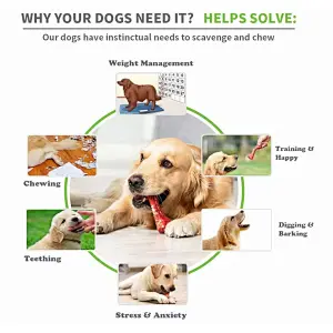 Amazon source factory direct sales grind hard chew nylon indestructible dog toys