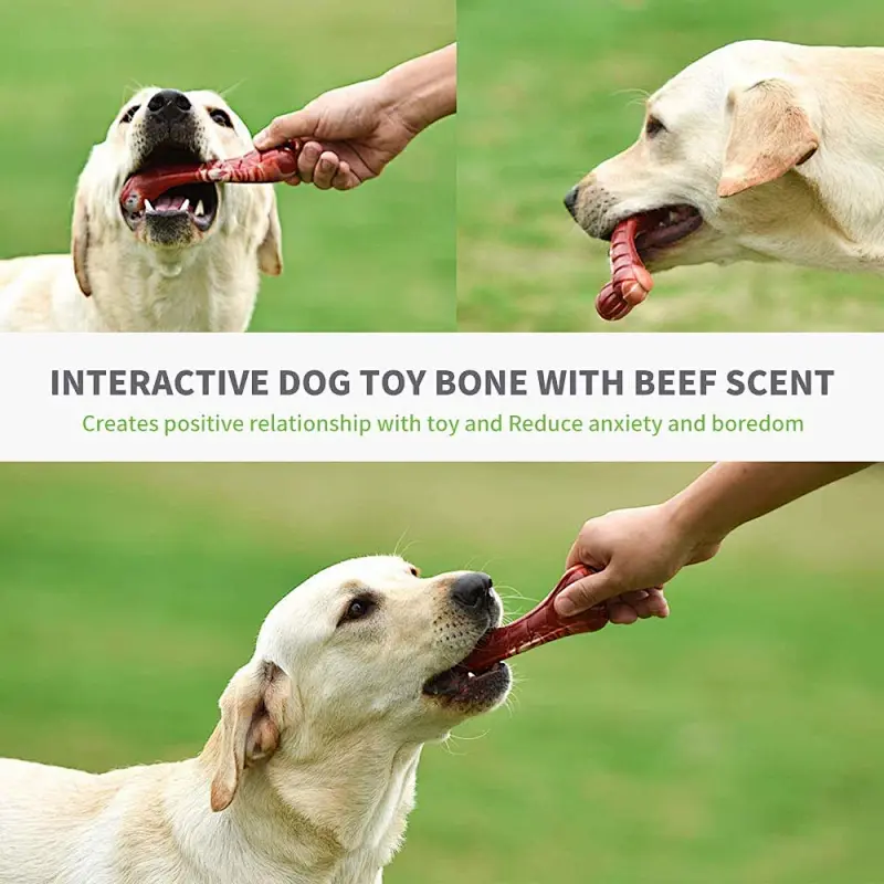 Amazon source factory direct sales grind hard chew nylon indestructible dog toys