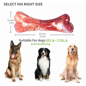 Amazon source factory direct sales grind hard chew nylon indestructible dog toys
