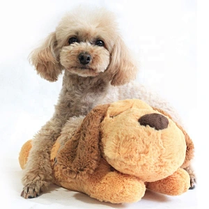 Customized Puppy Toy with Heartbeat Dog Training Toy for Separation Anxiety Claming Behavioral aid plush lying beat heart puppy