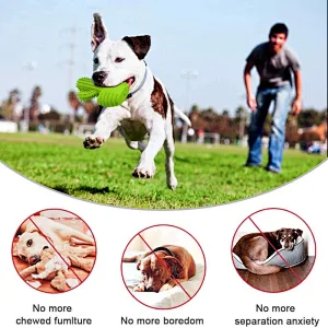 Dog Chew Toys Dog Toothbrush Stick Teeth Cleaning Brush Dental Rubber Dog Squeaky Toys for Aggressive Chewers Cactus Tough Toys Interactive for Training Cleaning Teeth