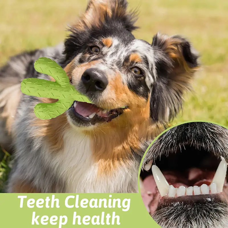 Dog Toys for Aggressive Chewers