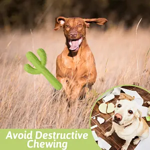 Dog Toys for Aggressive Chewers