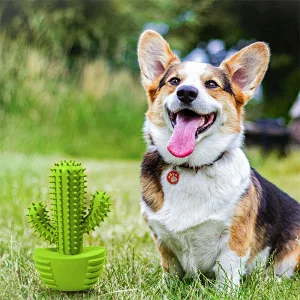 Dog Chew Toys Dog Toothbrush Stick Teeth Cleaning Brush Dental Rubber Dog Squeaky Toys for Aggressive Chewers Cactus Tough Toys Interactive for Training Cleaning Teeth