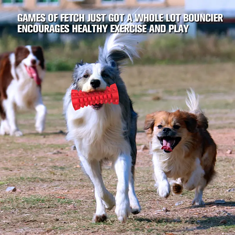 Dog Squeaky Toys Almost Indestructible Tough Durable Dog Toys Dog chew Toys for Large Dogs Aggressive chewers Stick Toys Puppy Chew Toys with Non-Toxic Natural Rubber