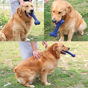 dog toys for aggressive chewers
