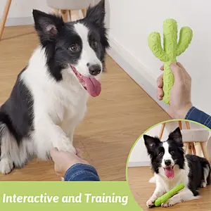 Durable Rubber Dog Toys for Aggressive Chewers, Cactus Tough Toys for Training and Cleaning Teeth, Interactive Dog Toys for Small/Medium Dog