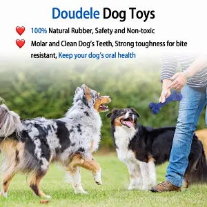 dog toys for aggressive chewers