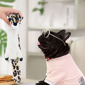 Dog Squeaky Toys No Stuffing, 6 Pack Dog Toys Crinkle Dog Toys for Small Dogs Durable Dog Chew Toys Plush Cute Animals Natural Puppy Toys for Teething Pet Toys Squeak