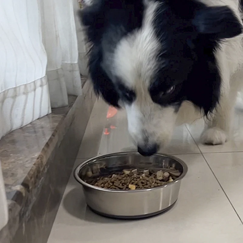 Cheap price Wholesale Pet Food Water Bowl Cat Stainless Steel Metal Dog Bowl
