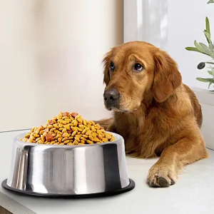 Wholesale slow feeder dog food bowls pet stainless steel