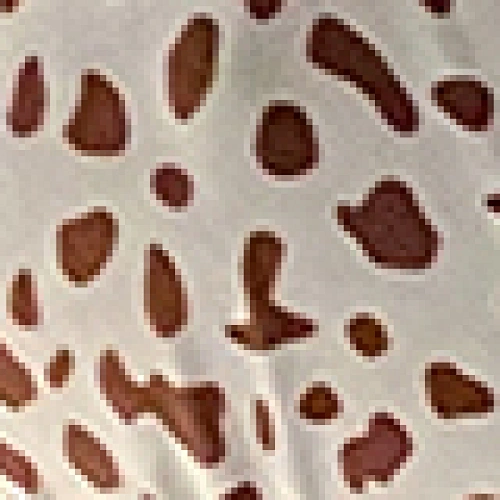 leopard print swimsuit manufacturer