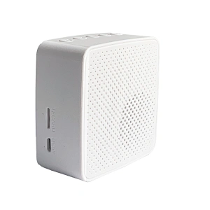 Clock Bluetooth Speaker