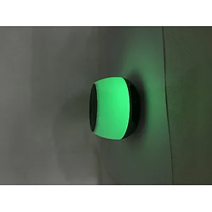 Luminous BT Speakers