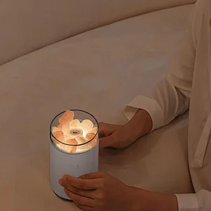Salt-stone LED humidifier