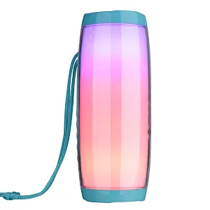 BT Speaker