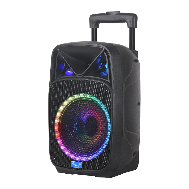 Outdoor speaker with microphone