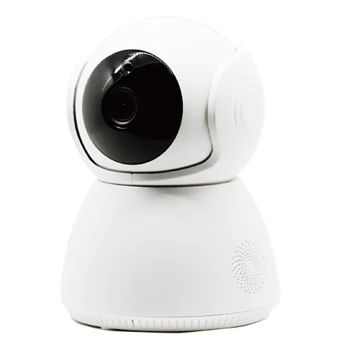Surveillance camera