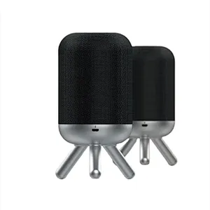 TWS bluetooth Speaker
