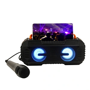 Microphone speaker