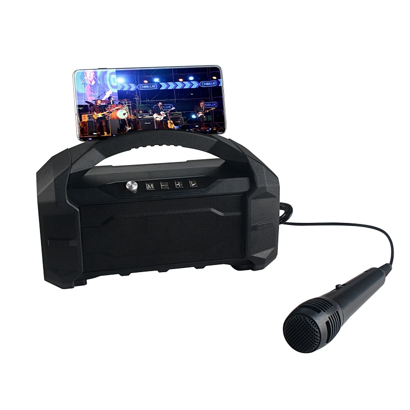 BT speaker