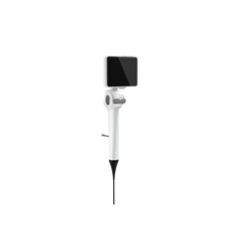 veterinary endoscopy
