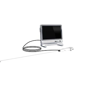 ureteroscopy