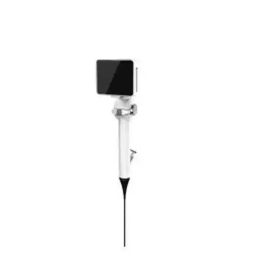 veterinary endoscopy